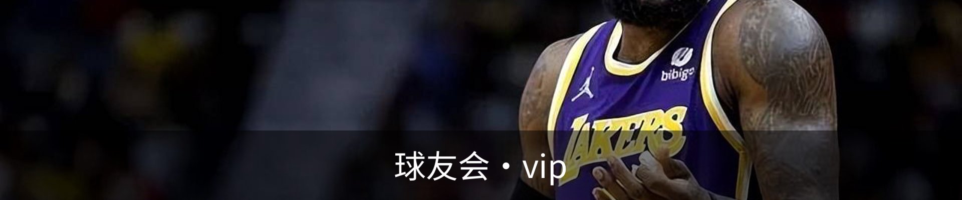 球友会·vip
